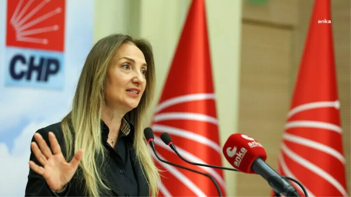 Aylin Nazlıaka’dan Yerlikaya’ya Sert Tepki: ‘Hem Suçlu Hem Güçlü’